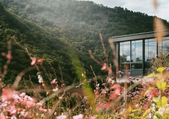 Aluvaison-extension-Dext-Habitat-©-Franck-Tourneret-Entraygues-sur-Truyere